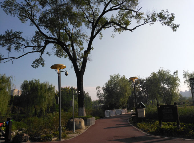 ���¹�԰̫�˷�