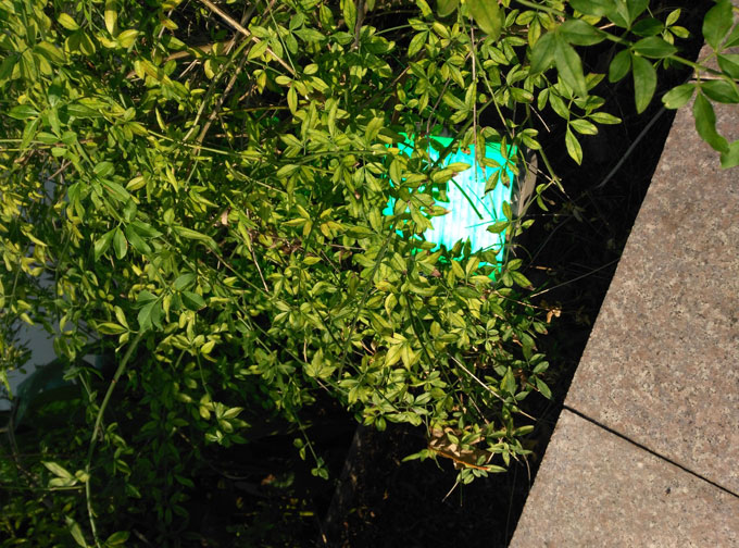 ���¹�԰̫�˷�