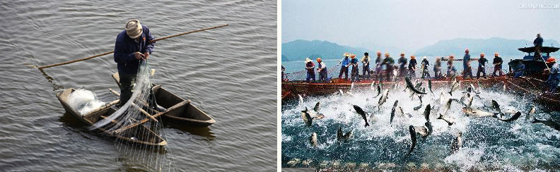 ���������ҵ����Ӫ��û��Ч����ԭ��