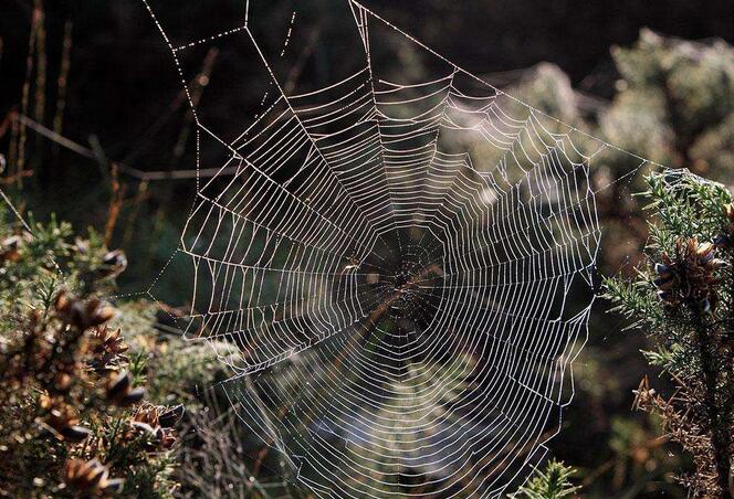 ��ҵ����Ӫ����ô���Ż���Ч��