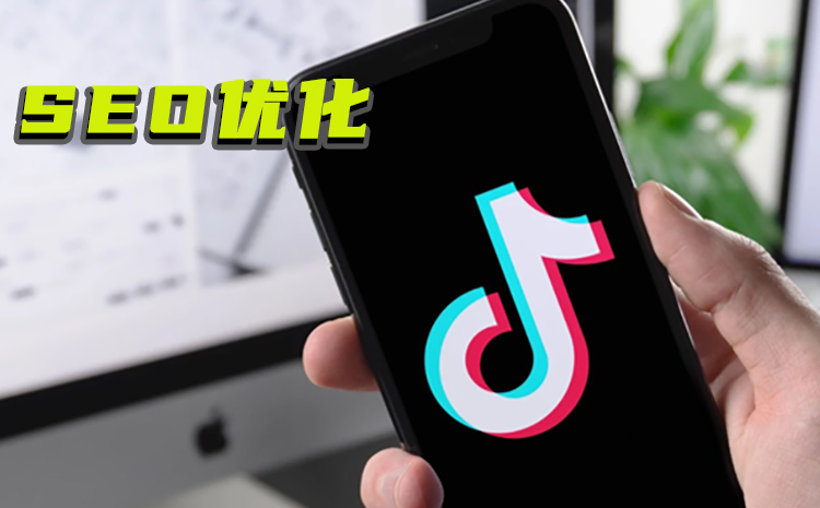 ����SEO�Ż�