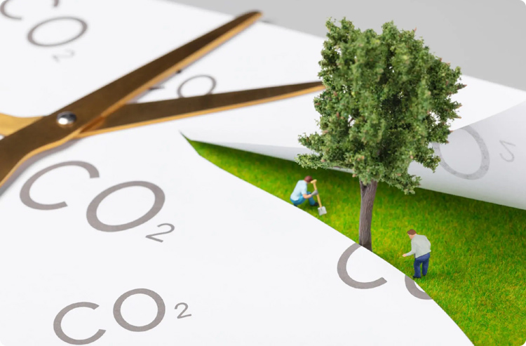 ��վ����Ҳ��̼�к� ����̼�к�Ŀ�������ʵ��