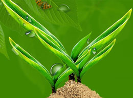 �γ��ʺ�԰�չ������޹�˾